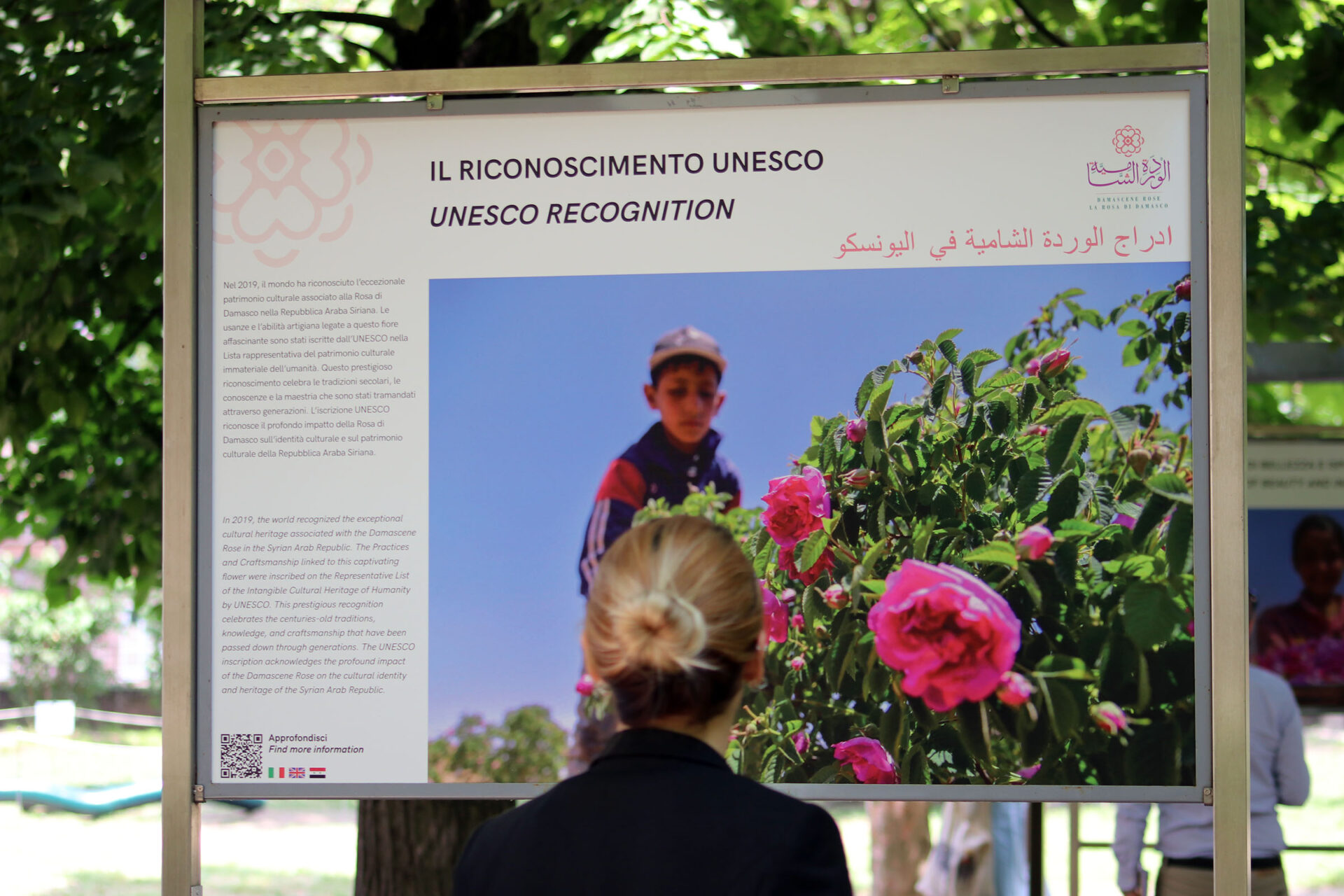 La Rosa di Damasco. Dalla Siria a Torino - Fondazione Santagata